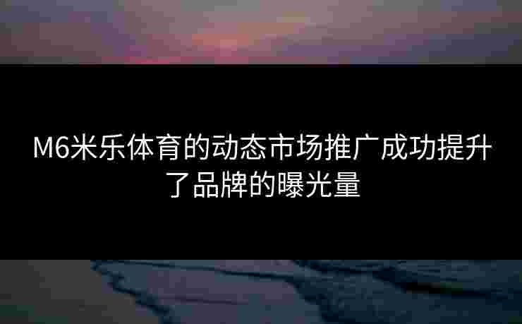 M6米乐体育的动态市场推广成功提升了品牌的曝光量
