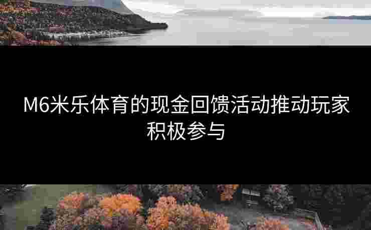 M6米乐体育的现金回馈活动推动玩家积极参与