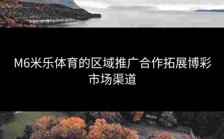 M6米乐体育的区域推广合作拓展博彩市场渠道