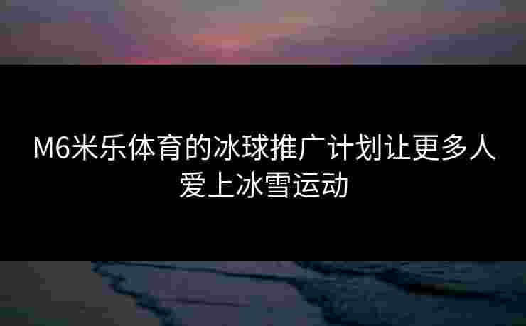 M6米乐体育的冰球推广计划让更多人爱上冰雪运动