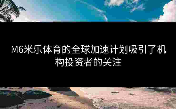 M6米乐体育的全球加速计划吸引了机构投资者的关注