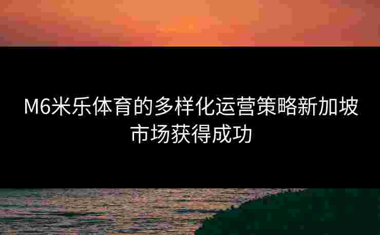 M6米乐体育的多样化运营策略新加坡市场获得成功